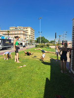 /album/fotogalerie-italie-riccione/img-20260707-wa0000-jpg/